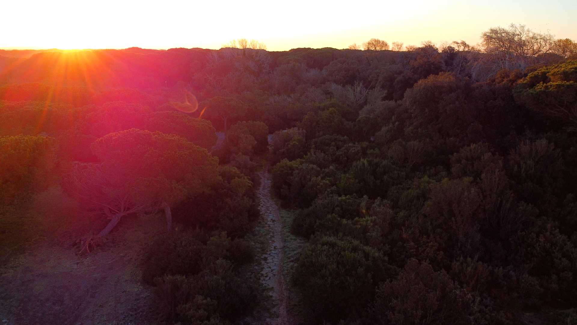 La Via Severiana a Ostia